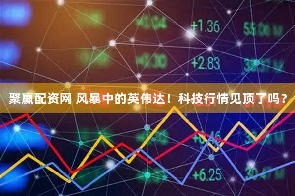 聚赢配资网 风暴中的英伟达！科技行情见顶了吗？