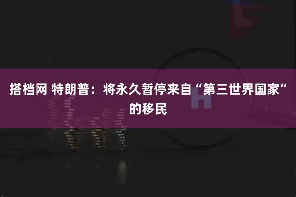搭档网 特朗普：将永久暂停来自“第三世界国家”的移民