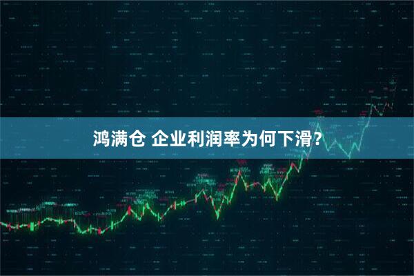 鸿满仓 企业利润率为何下滑？