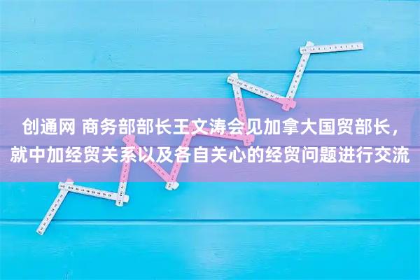 创通网 商务部部长王文涛会见加拿大国贸部长,就中加经贸关系以及各自关心的经贸问题进行交流