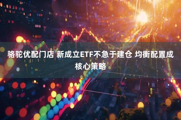 骆驼优配门店 新成立ETF不急于建仓 均衡配置成核心策略