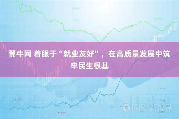 翼牛网 着眼于“就业友好”,在高质量发展中筑牢民生根基