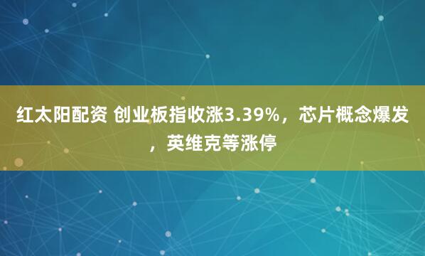 红太阳配资 创业板指收涨3.39%,芯片概念爆发,英维克等涨停